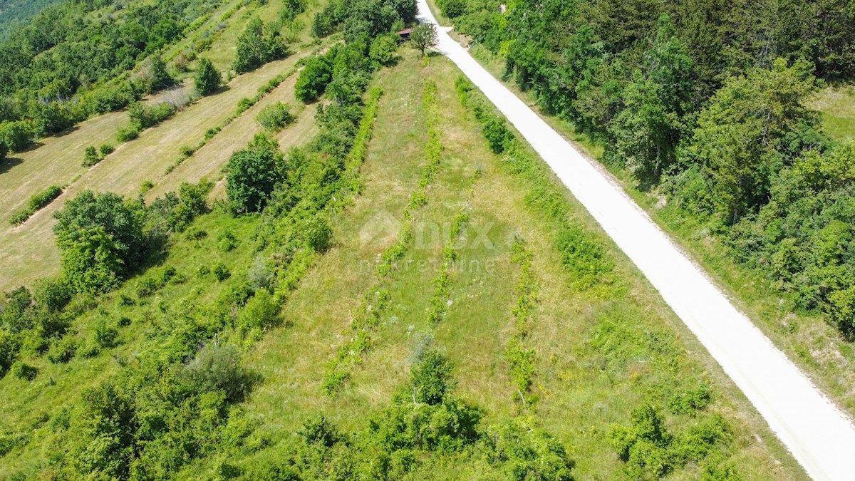 Terreno Motovun, 3.059m2