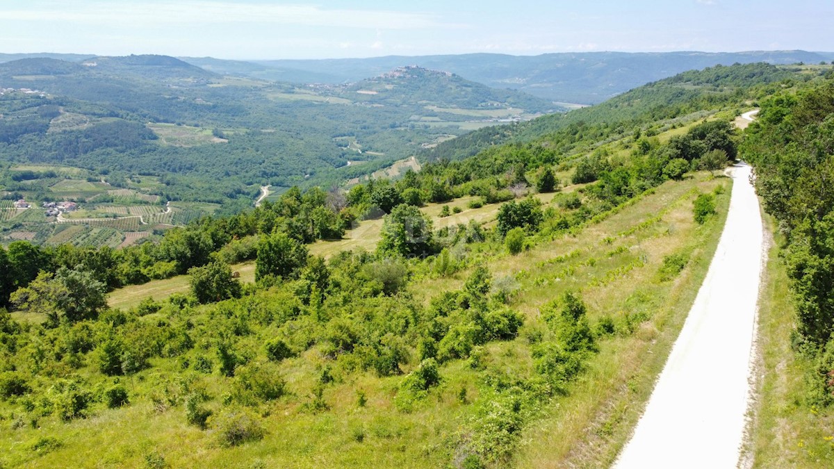 Terreno Motovun, 3.059m2