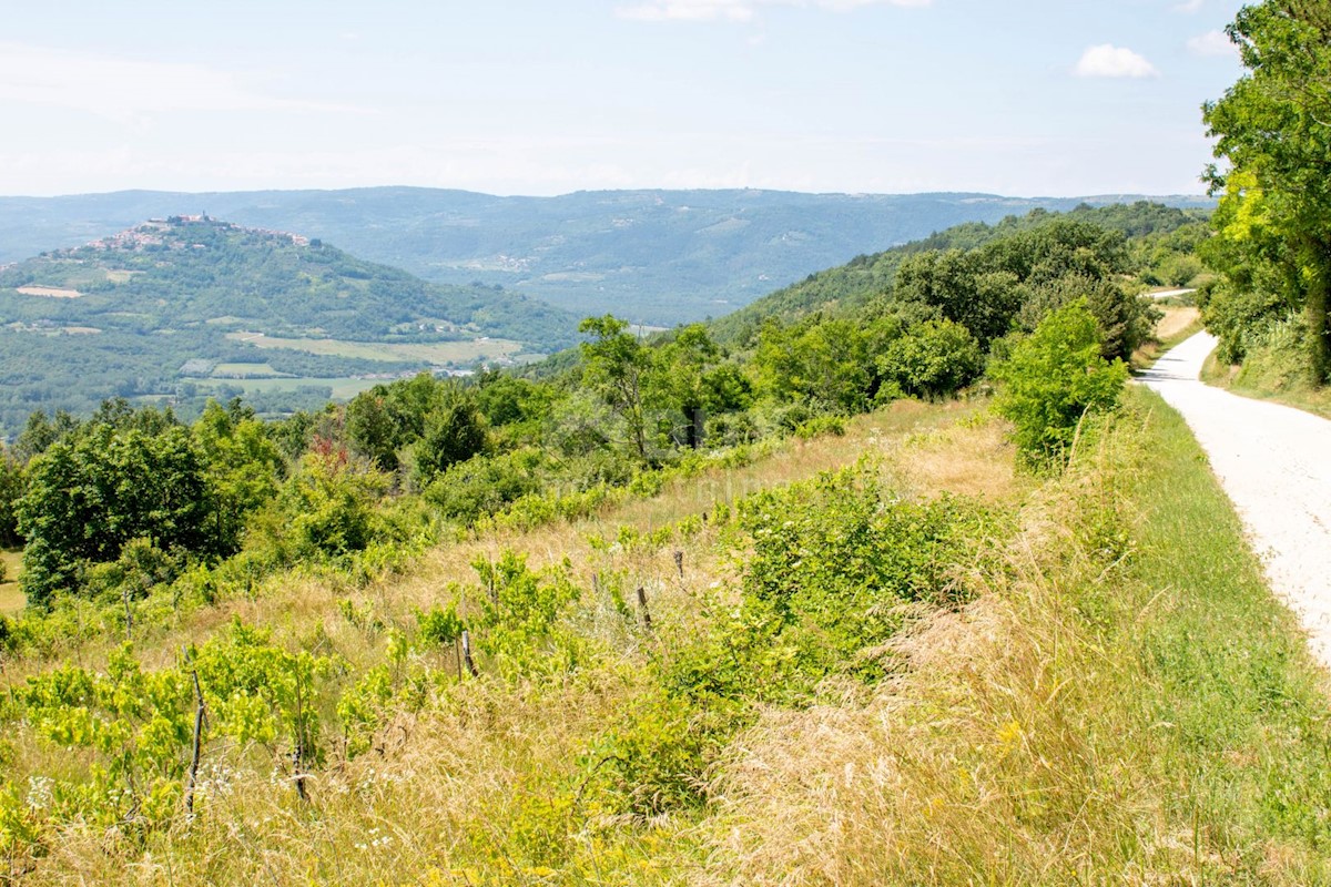 Terreno Motovun, 3.059m2