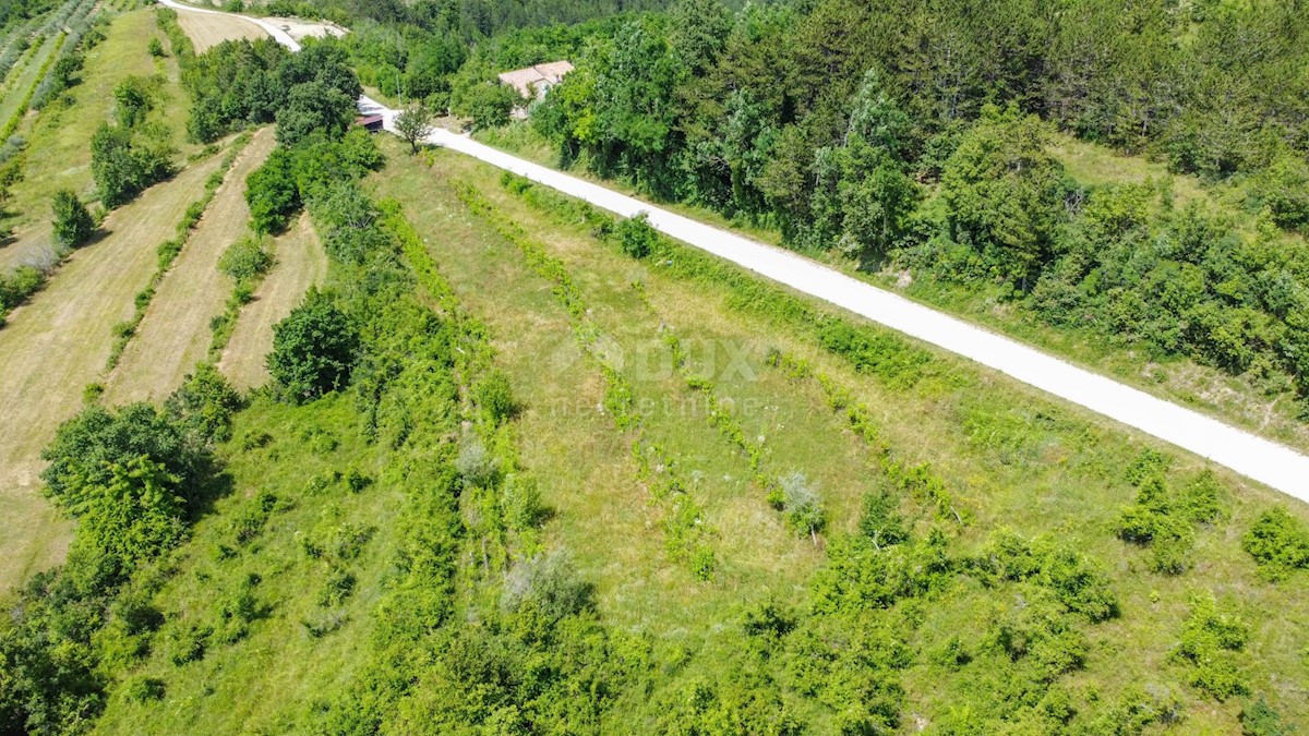 Terreno Motovun, 3.059m2