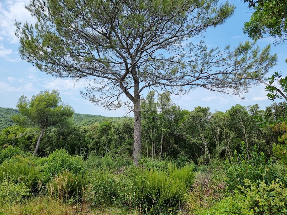 Terreno Marčana, 33.613m2