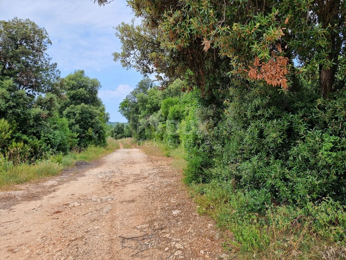 Terreno Marčana, 33.613m2