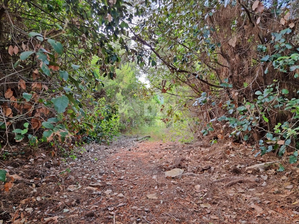 Terreno Marčana, 33.613m2