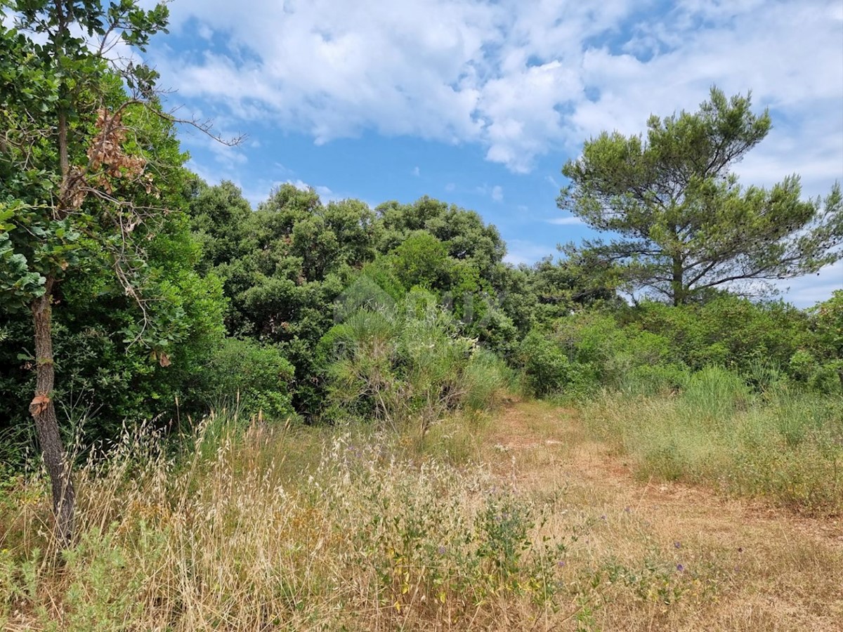 Terreno Marčana, 33.613m2