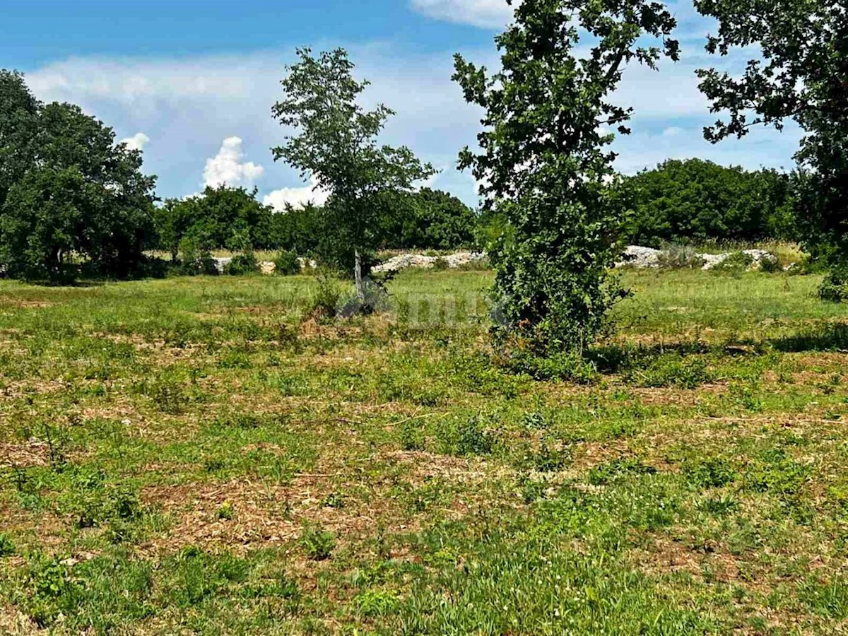 Terreno Vodnjan, 3.563m2