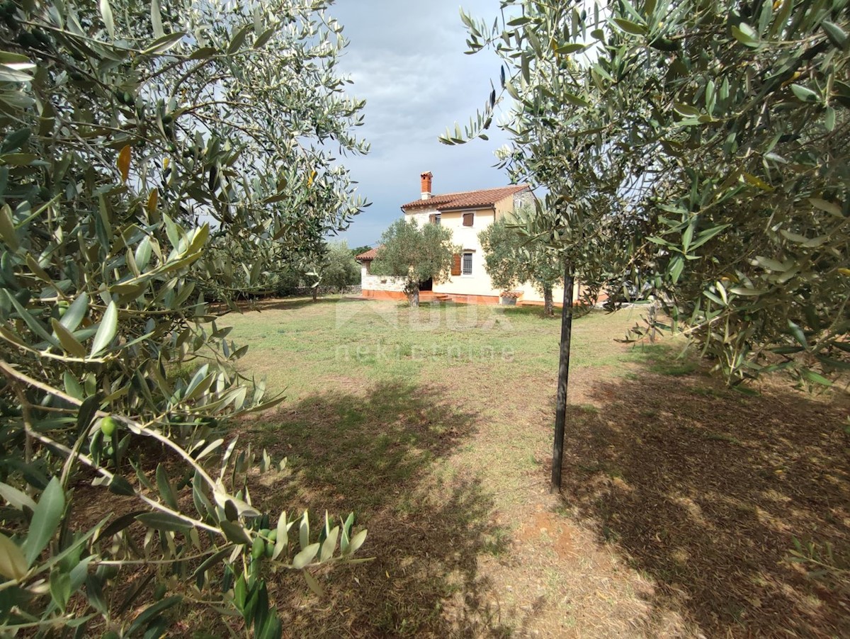 Casa Valbandon, Fažana, 290m2