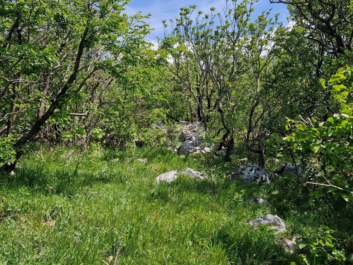 CRIKVENICA - Terreno per la costruzione di un impianto fotovoltaico/impianto sportivo-ricreativo/edificio turistico-sanitario