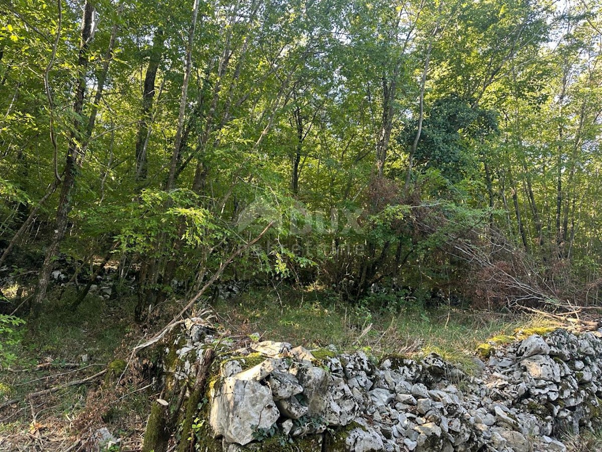 Terreno Žegoti, Kastav, 2.900m2