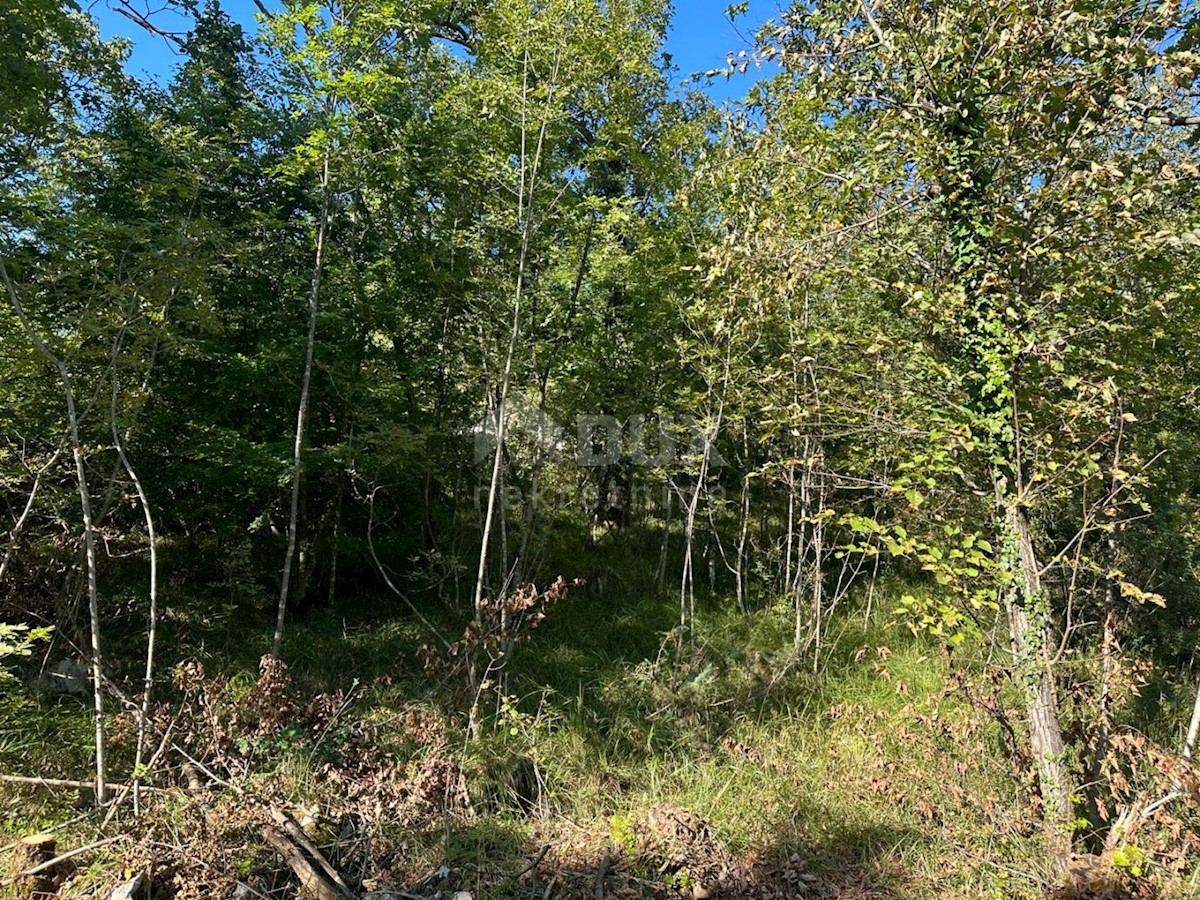 Terreno Žegoti, Kastav, 2.900m2