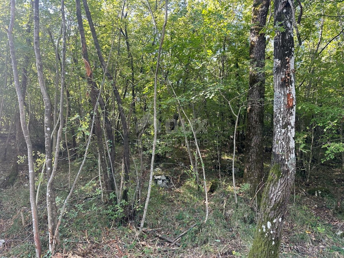 Terreno Žegoti, Kastav, 2.900m2