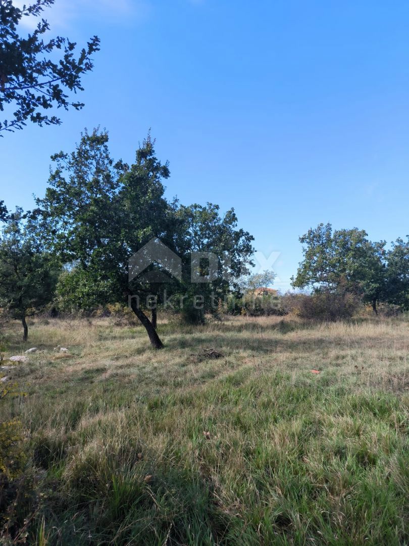 Terreno Umag, 3.551m2