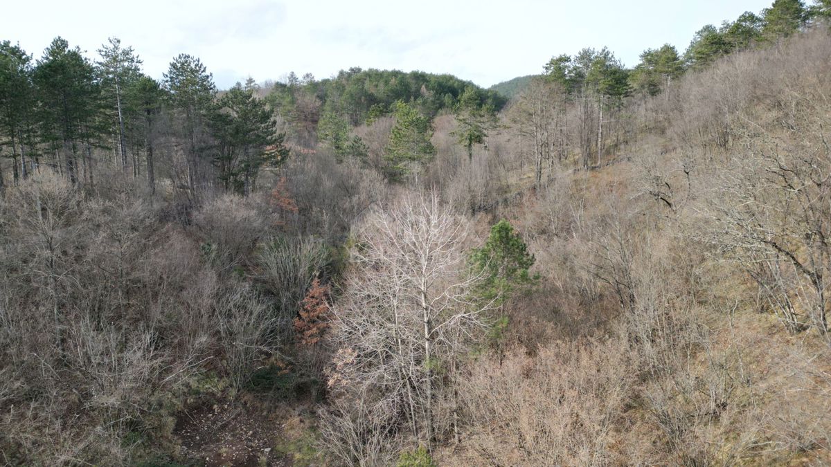 Terreno Klana, 23.493m2