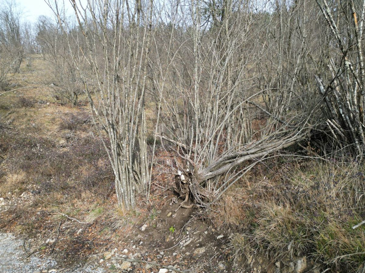 Terreno Klana, 23.493m2