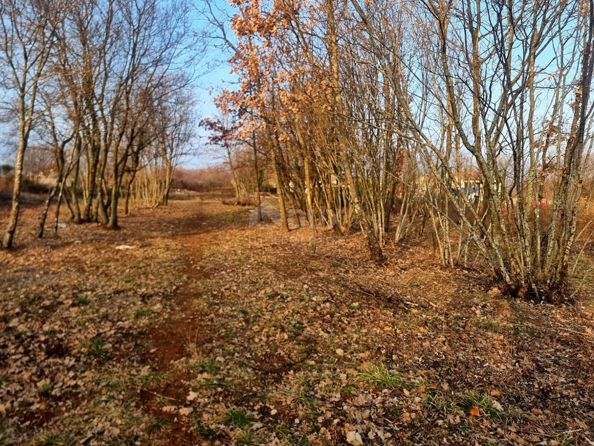 Terreno Labin, 1.200m2