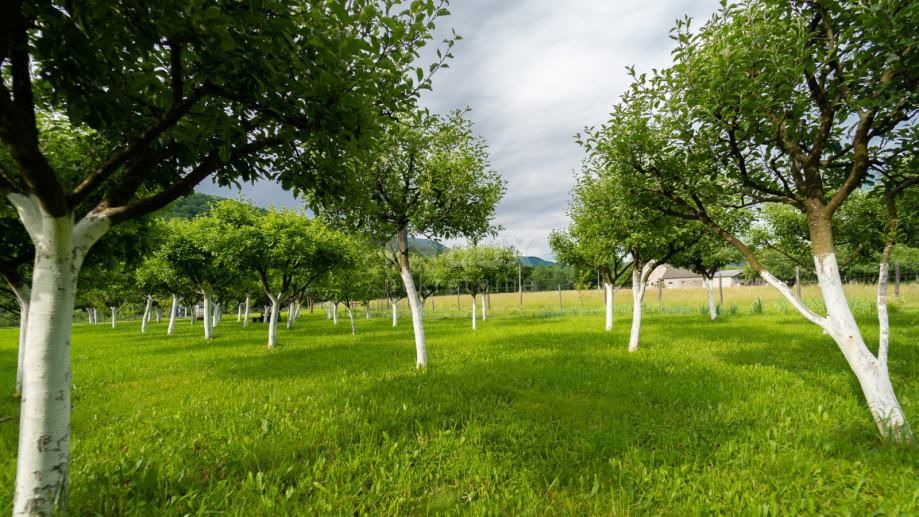 GORSKI KOTAR, BROD NA KUPI - Terreno edificabile di 1960m2!