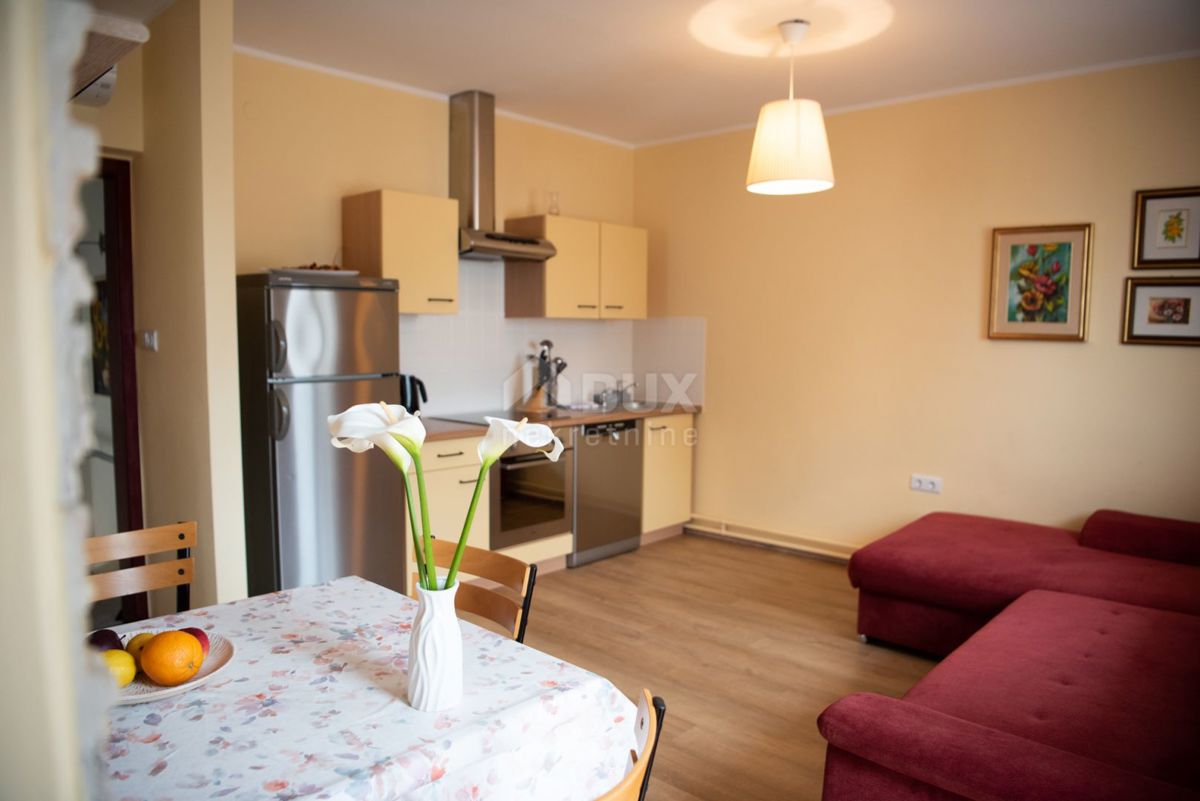 ISTRIA, PREMANTURA - casa con 2 appartamenti!