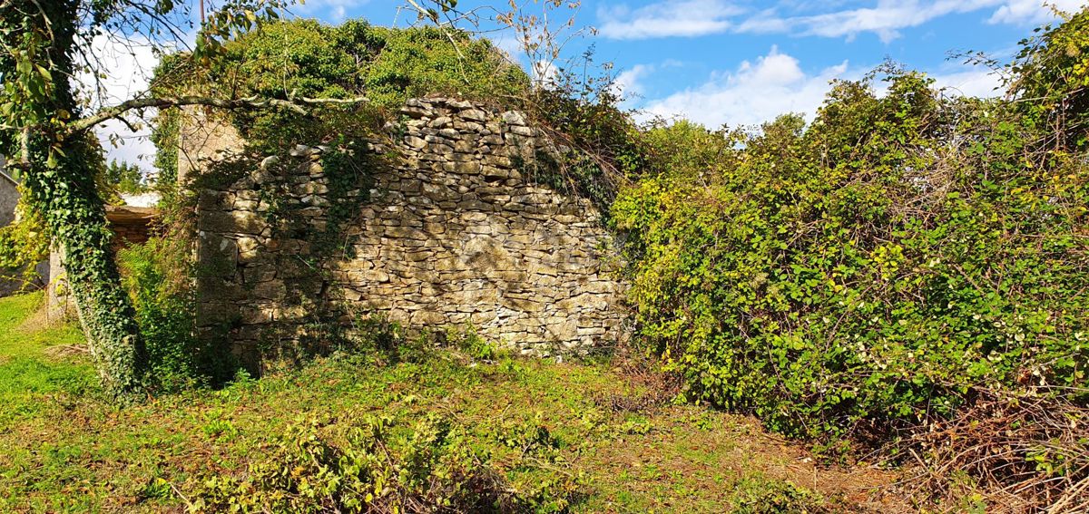 ISTRIA, GRAČIŠĆE - Complesso di terreno in una posizione privilegiata con una bellissima vista 