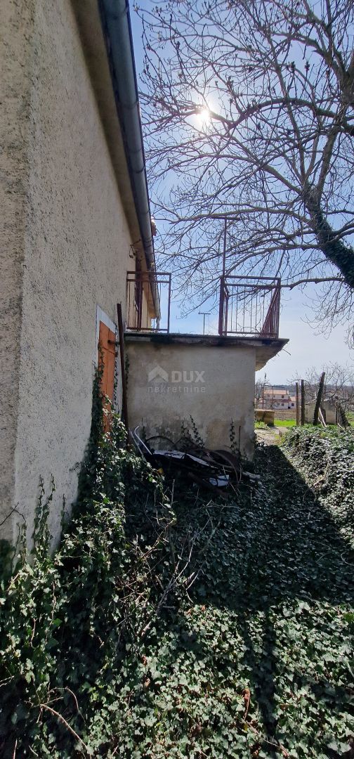 ISTRIA, PAZIN - Antica casa indipendente in pietra dalle potenzialità eccezionali