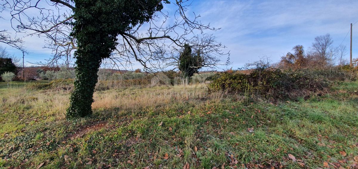 ISTRIA, BARBAN - Terreno con concessione edilizia valida e utenze pagate, bellissima vista fino al mare