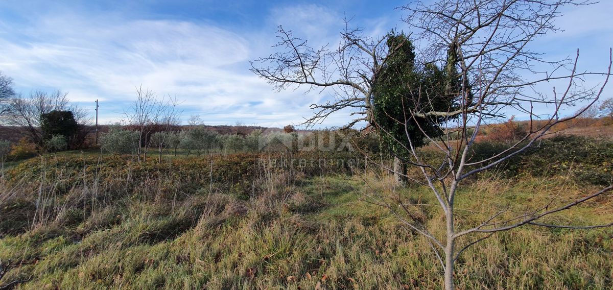 ISTRIA, BARBAN - Terreno con concessione edilizia valida e utenze pagate, bellissima vista fino al mare