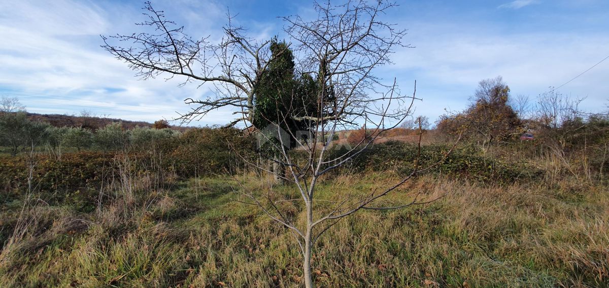 ISTRIA, BARBAN - Terreno con concessione edilizia valida e utenze pagate, bellissima vista fino al mare