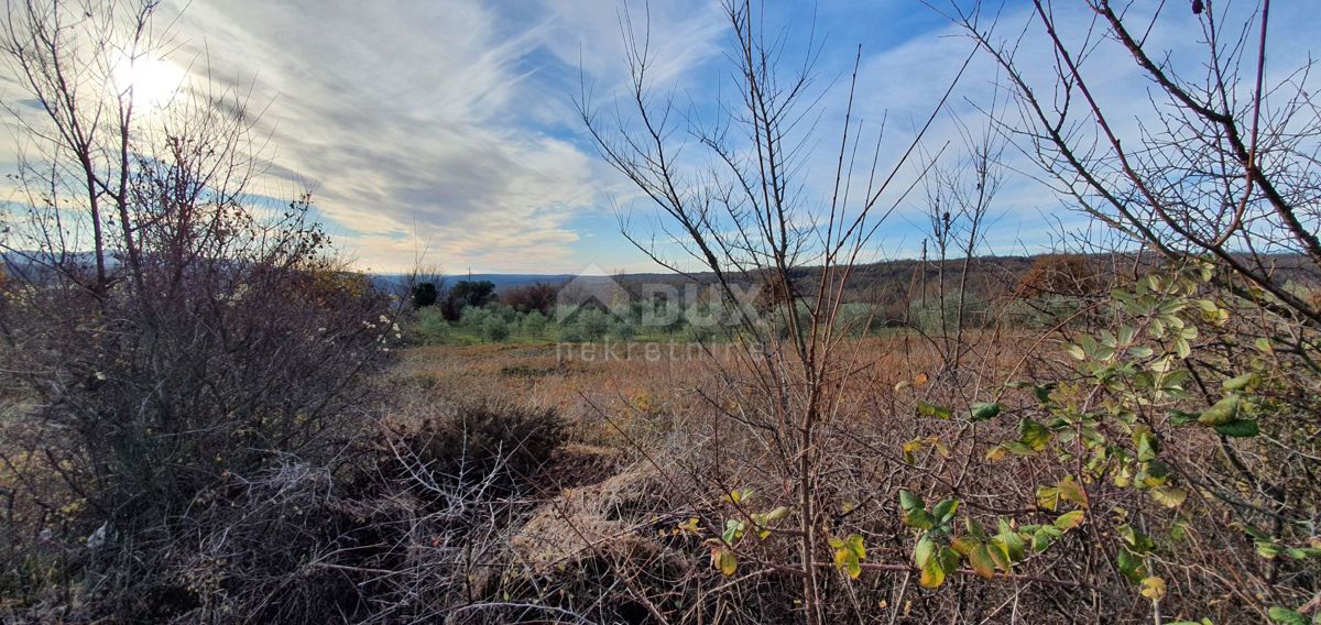 ISTRIA, BARBAN - Terreno con concessione edilizia valida e utenze pagate, bellissima vista fino al mare