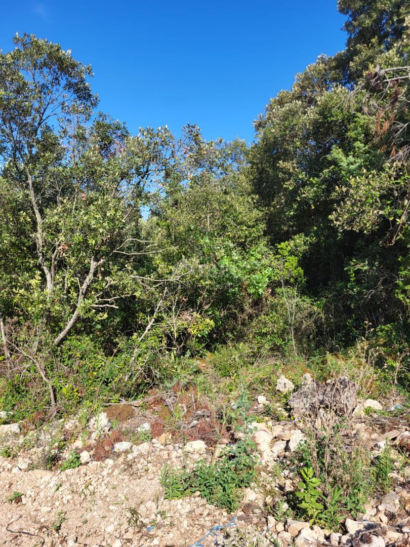 NEVIĐANE, PAŠMAN - Terreno agricolo ai margini della zona edificabile!