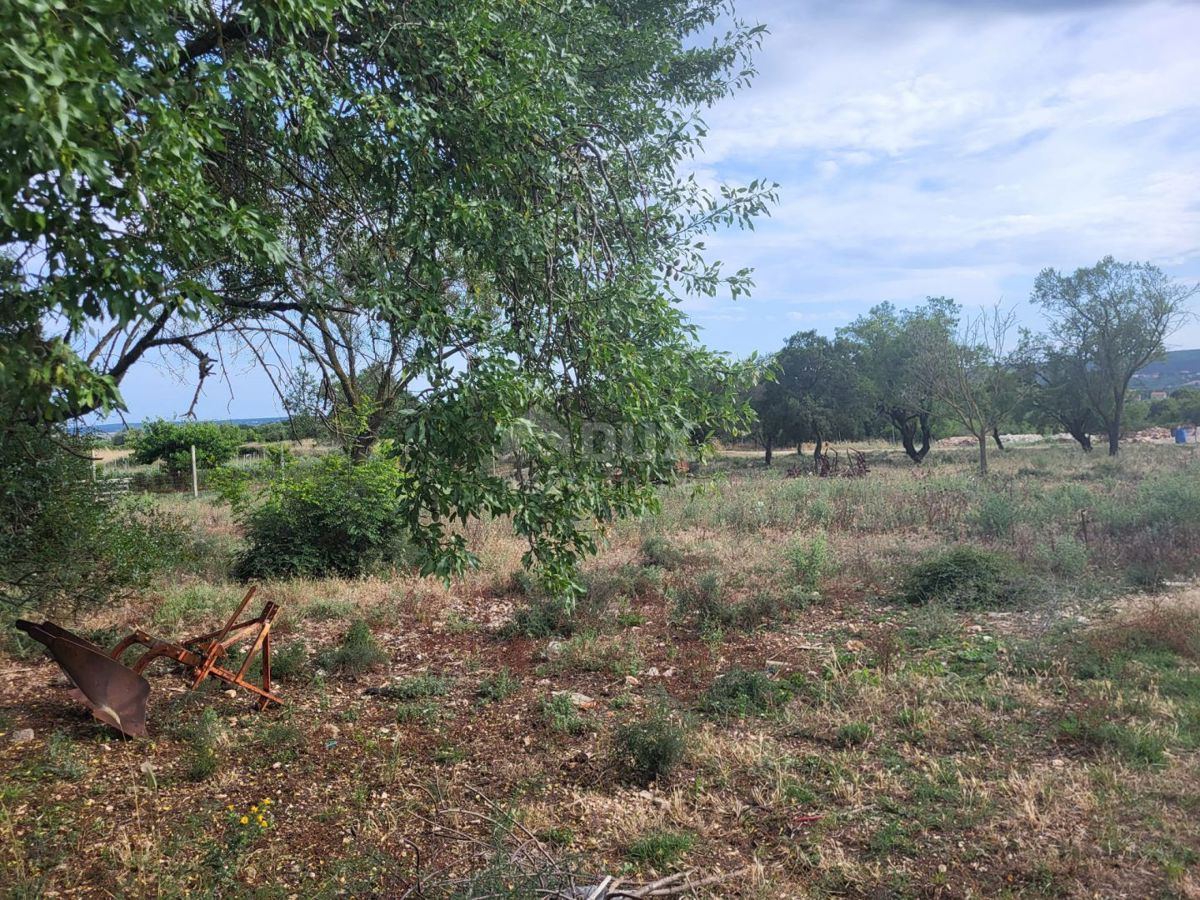 NEVIĐANE, PAŠMAN - Terreno agricolo ai margini della zona edificabile!