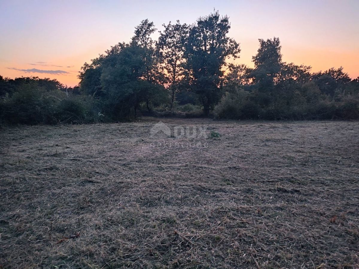 ISTRIA, JURŠIĆ! terreno edificabile