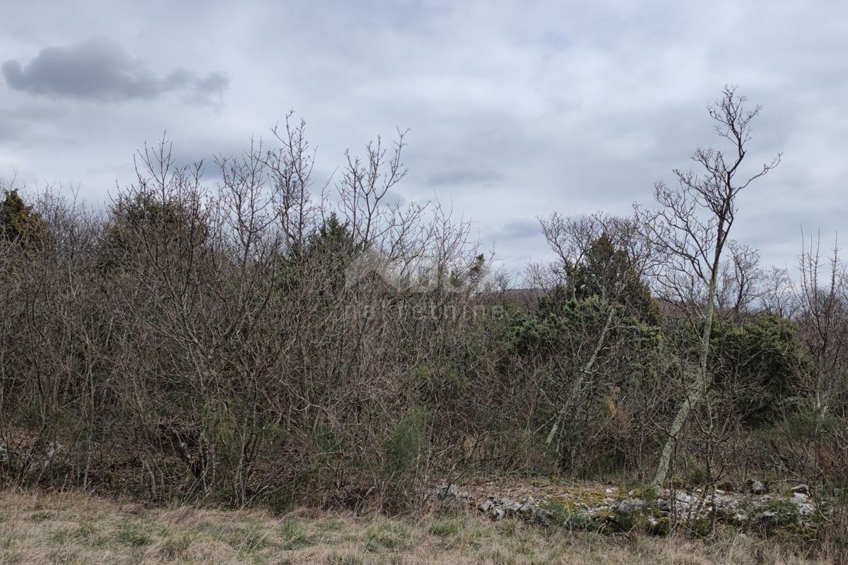 ISOLA DI KRK, area più ampia della città di Krk - terra con foresta