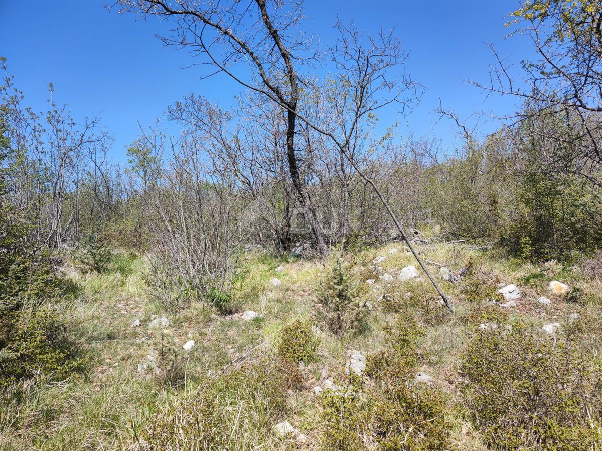 ISOLA DI KRK, area più ampia della città di Krk - terra con foresta