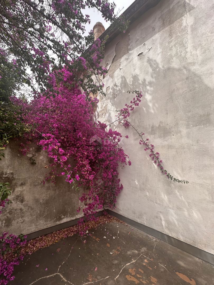 MALI LOŠINJ, CITTÀ-Casa con cortile nel centro di Lussino. PRIMA FILA DAL MARE