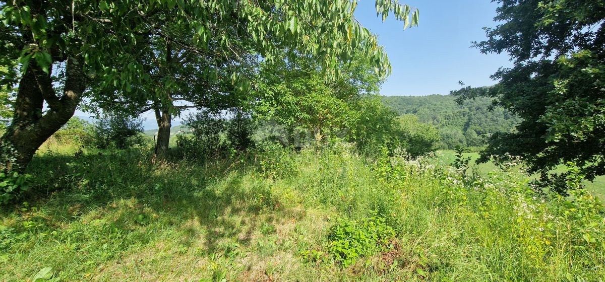 ISTRIA, CEROVLJE - Villetta con ampio giardino e ulteriore struttura