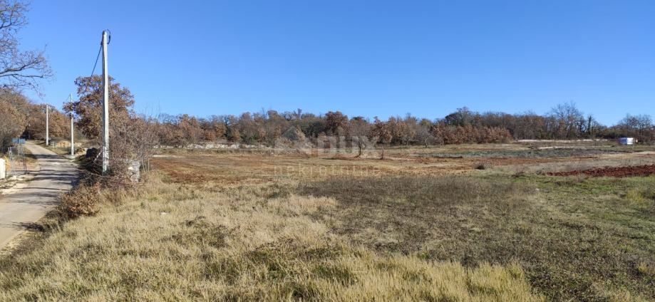 ISTRIA, SVETVINČENAT - Bellissimo terreno edificabile ai margini di un piccolo insediamento