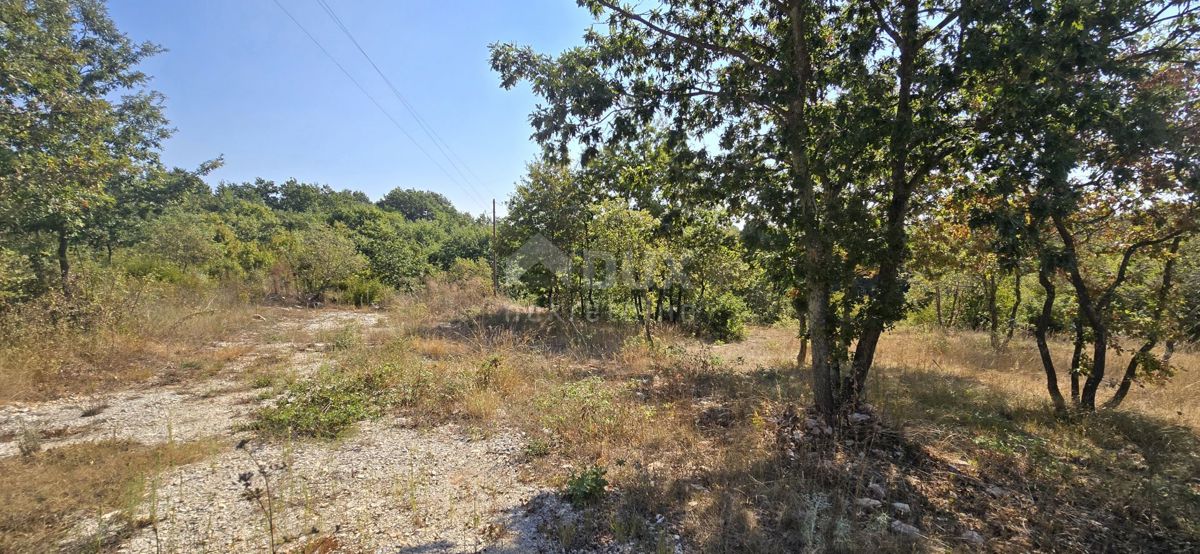 ISTRIA, SVETVINČENAT - Terreno edificabile ai margini della zona edificabile