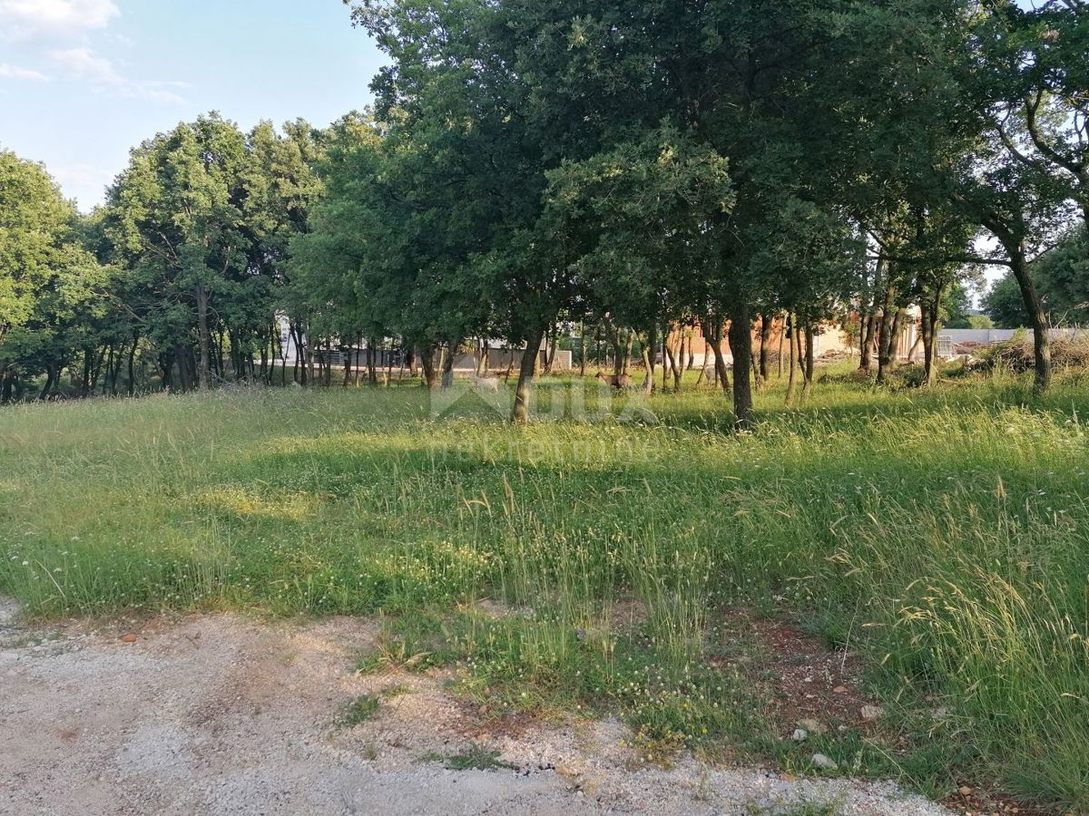 Terreno Medulin, 955m2