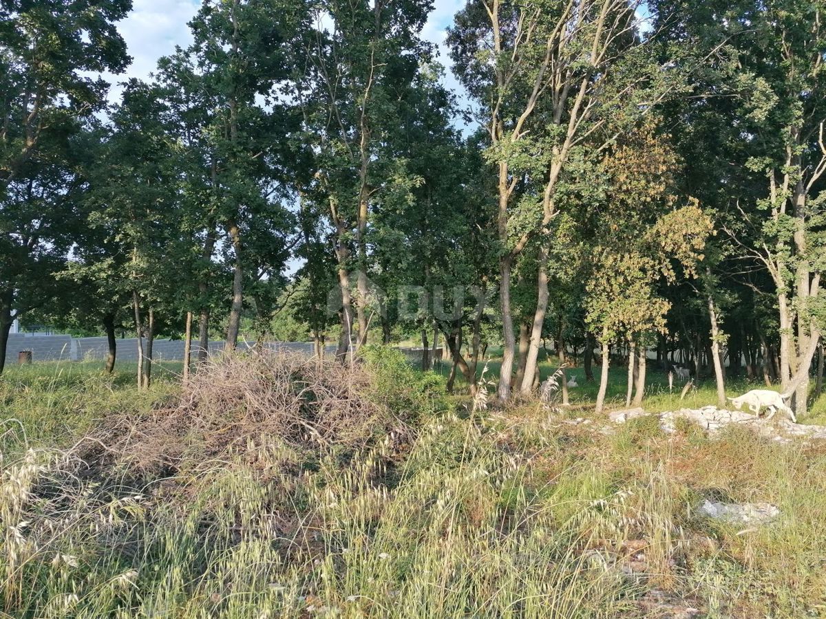 Terreno Medulin, 955m2