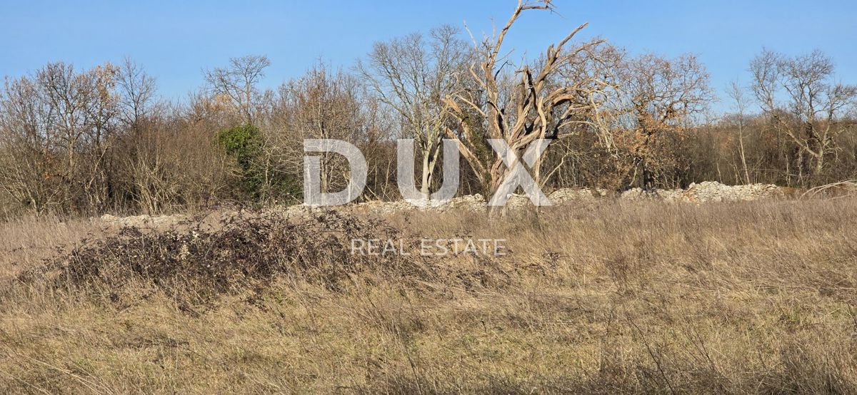 ISTRIA, BALE - Terreno edificabile in posizione privilegiata