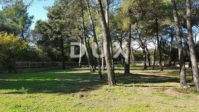 ROVINJ - terreno edificabile per hotel / boutique hotel / motel / appartamenti / ville - case in affitto con piscina