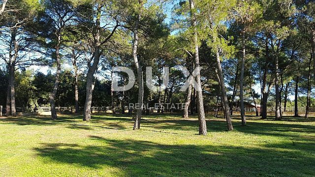 ROVINJ - terreno edificabile per hotel / boutique hotel / motel / appartamenti / ville - case in affitto con piscina
