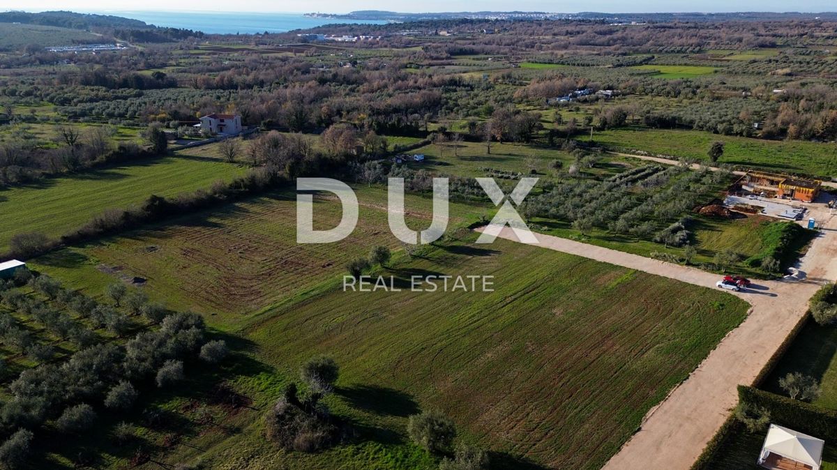 ISTRIA, PARENZO - Villa unica con quattro unità abitative separate