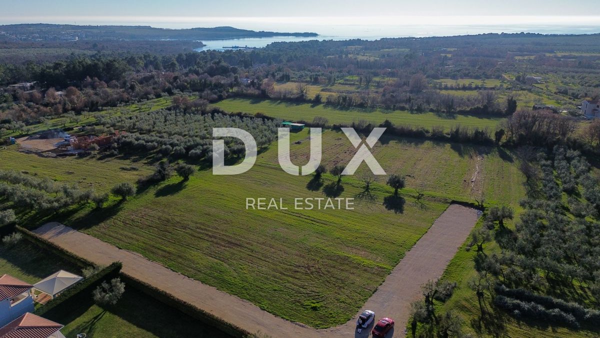ISTRIA, PARENZO - Villa unica con quattro unità abitative separate