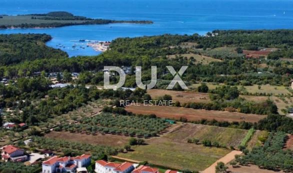ISTRIA, PARENZO - Villa unica con quattro unità abitative separate