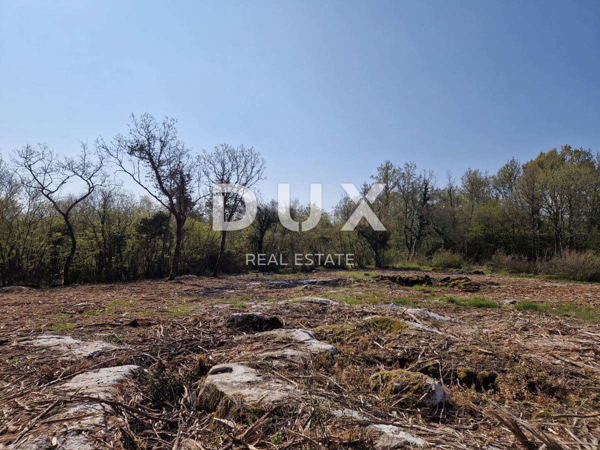 ISTRIA, PARENZO - L'ultimo complesso di terreni nella zona edificabile