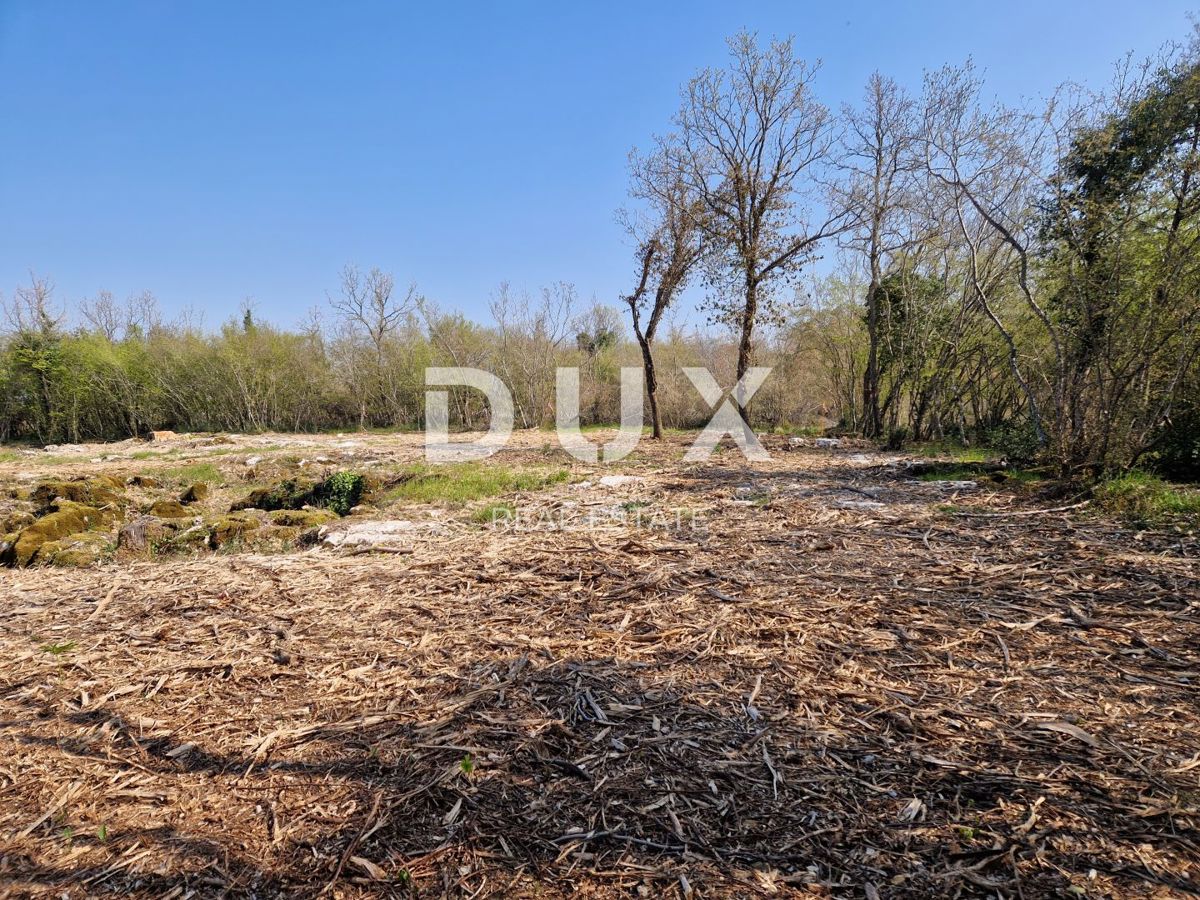 ISTRIA, PARENZO - L'ultimo complesso di terreni nella zona edificabile
