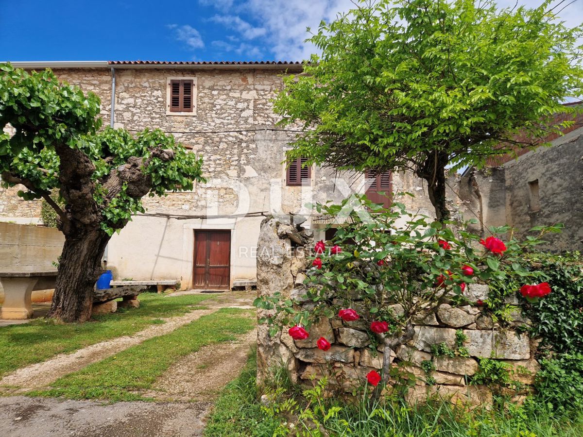 ISTRIA, NOVIGRAD - Una bellezza in pietra in un insediamento tranquillo