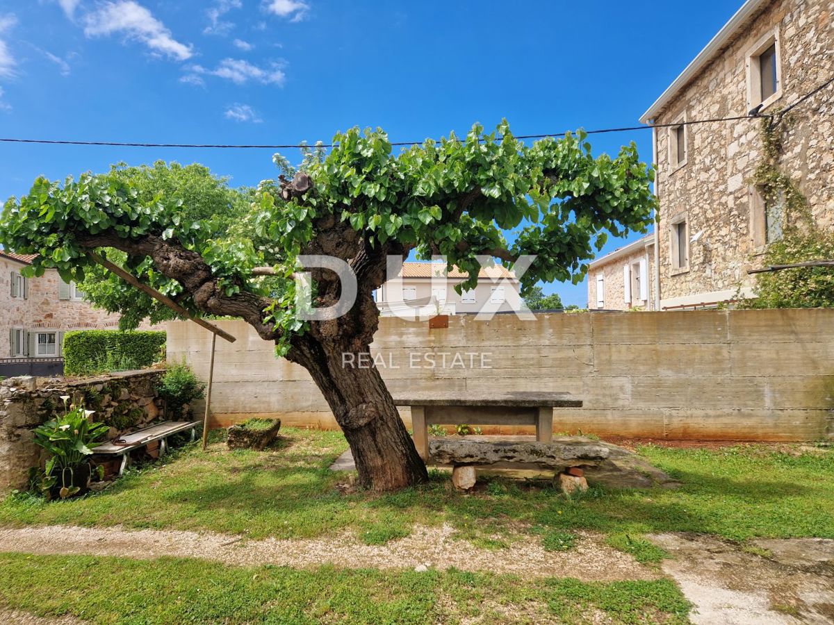 ISTRIA, NOVIGRAD - Una bellezza in pietra in un insediamento tranquillo