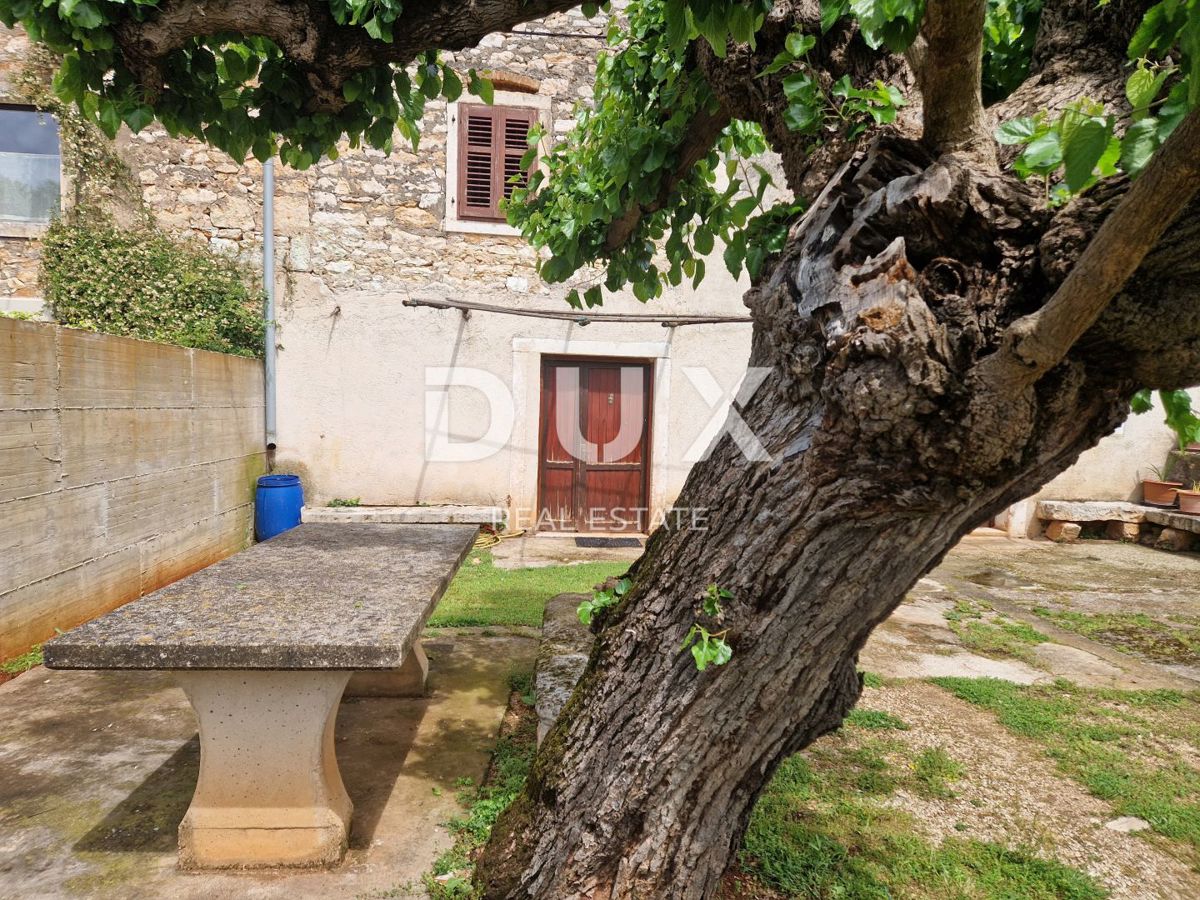 ISTRIA, NOVIGRAD - Una bellezza in pietra in un insediamento tranquillo