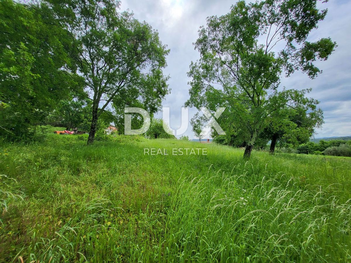 ISTRIA, PINGUENTE - Ampio terreno edificabile ai margini della zona edificabile