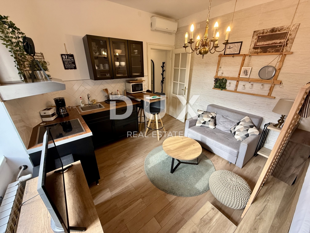 ZAGABRIA, CENTRO - appartamento duplex con tre appartamenti e ottimo reddito!